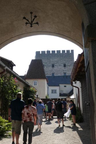 P1001054