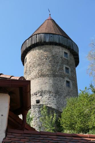 P1001055