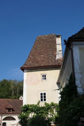 P1001063