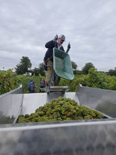 0ea2c62f-1856-4a15-9fcd-430bfeb8f5a8