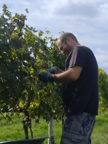 26325399-7c8d-4bd9-8bab-88a8949c6f19