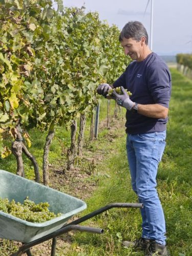 e245430e-24e1-4582-b8a6-f02888d752ae