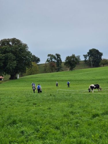 570dc3ae-a7dd-486a-8b14-d3d08ed50f6b